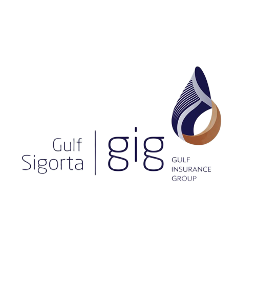 https://www.gig.com.tr/